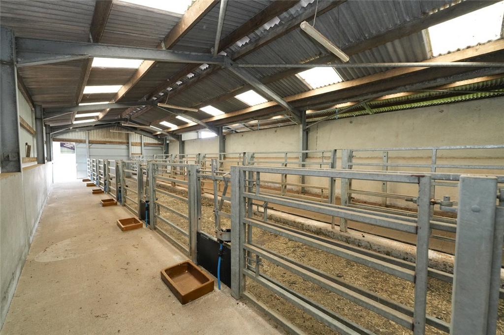 Bull Shed