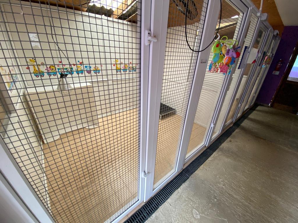 Kennel block 2