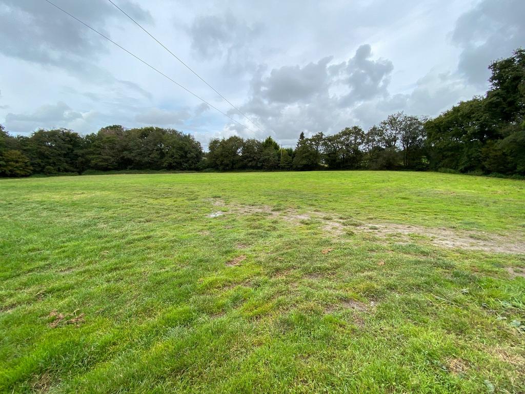 The land (second image)