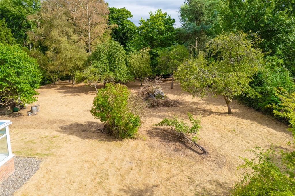 DJI 0493.jpg