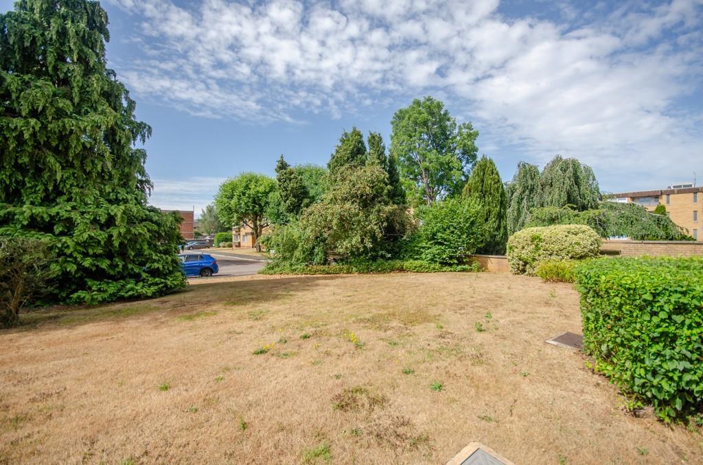 Communal garden.jpg