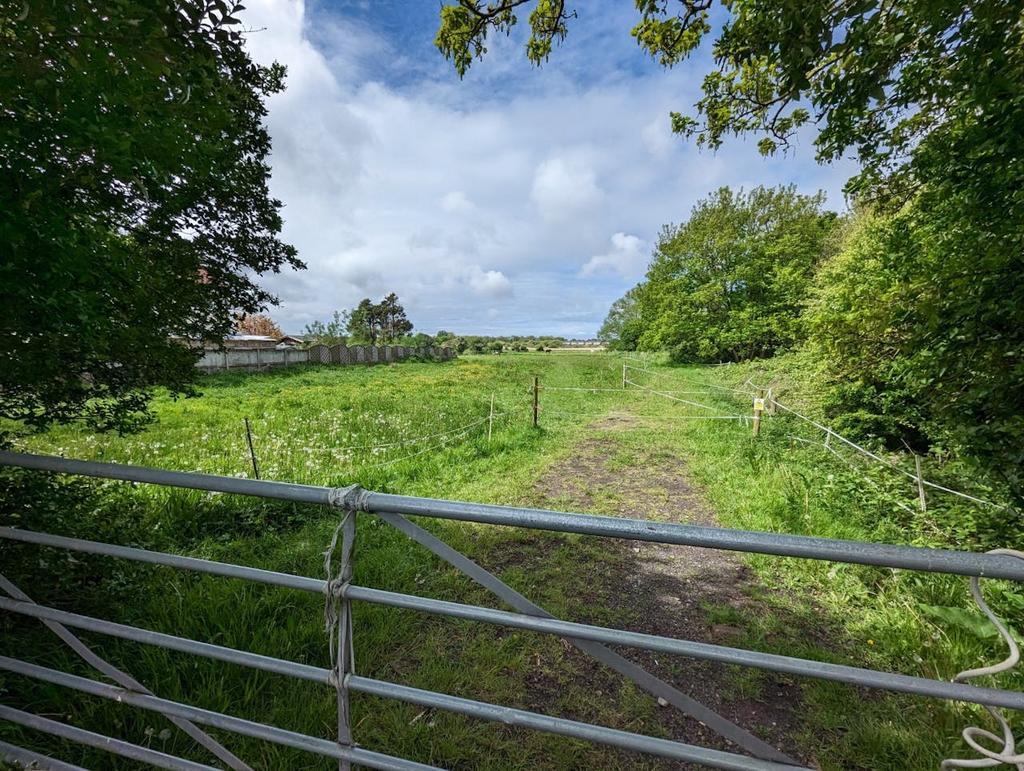 Guinea Hall Lane 8.jpg