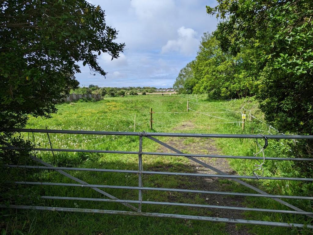 Guinea Hall Lane View from gate.jpg