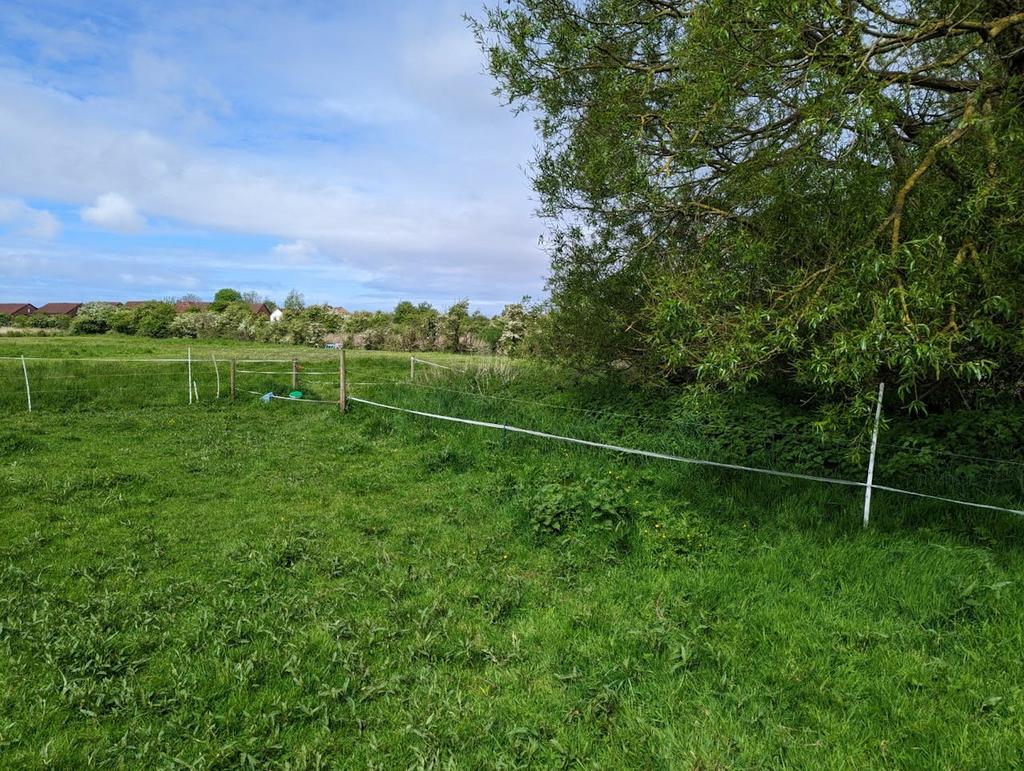 Guinea Hall Lane 1.jpg