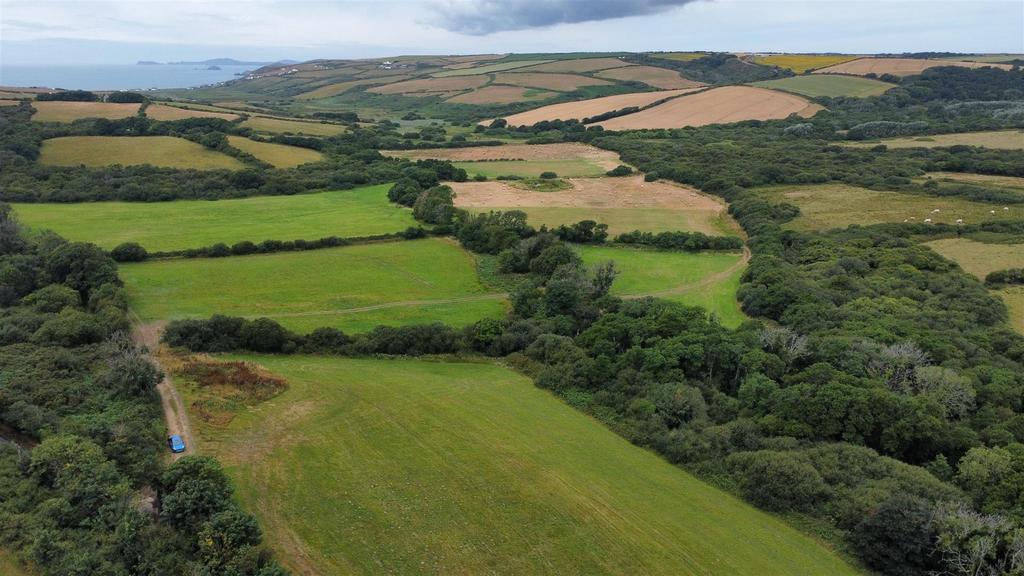 Dji fly 20250716 105452 444 1752659906244 photo op