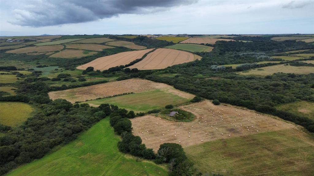 Dji fly 20250716 105712 455 1752659931330 photo op