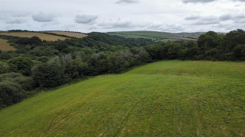 Dji fly 20250716 105550 449 1752659843668 photo op