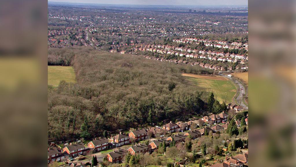 Woodland for sale in London.