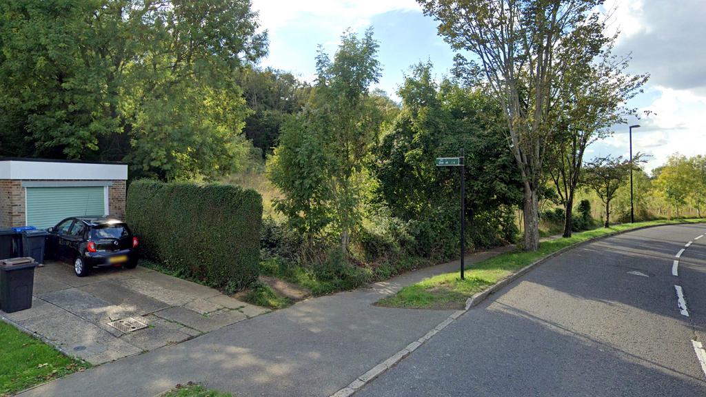 Woodland off Mitchley Hill Road.