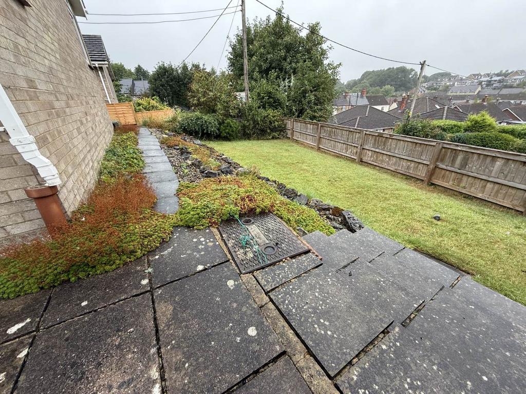 Back garden