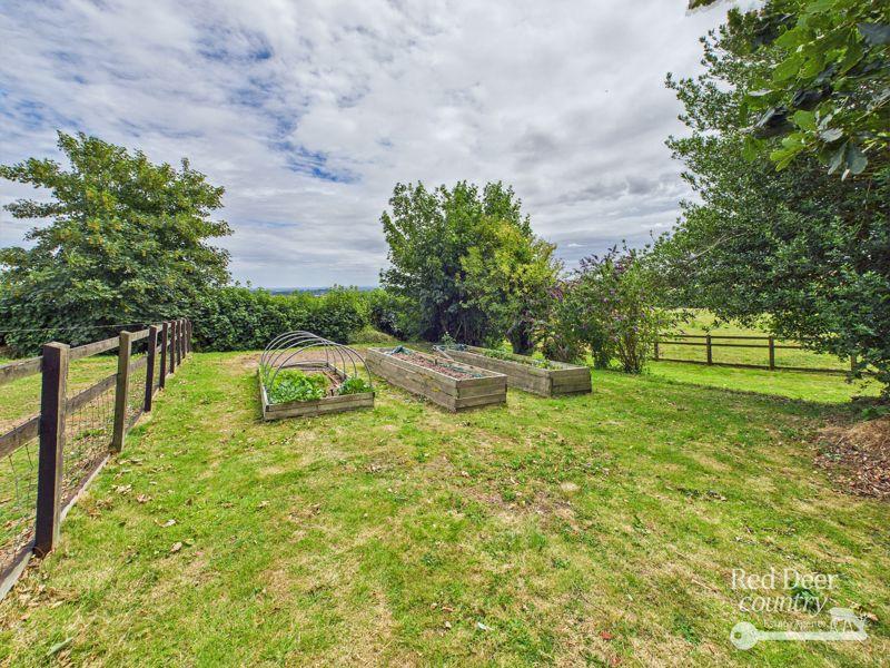Veg Garden