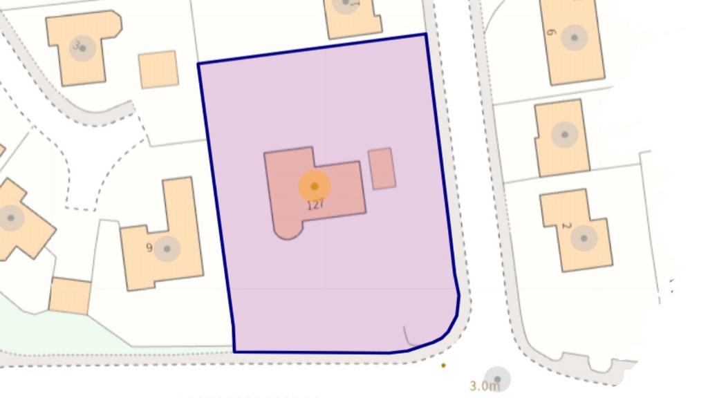 Plot Size