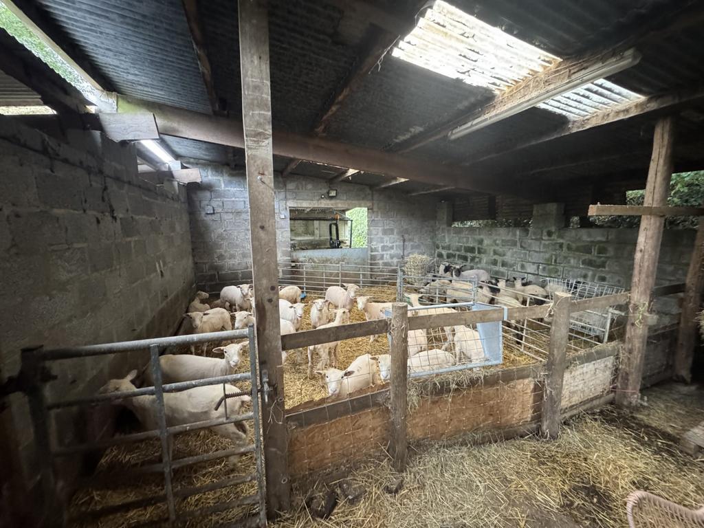 Agricultural Barn