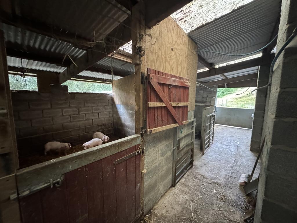 Lean To Stable Area