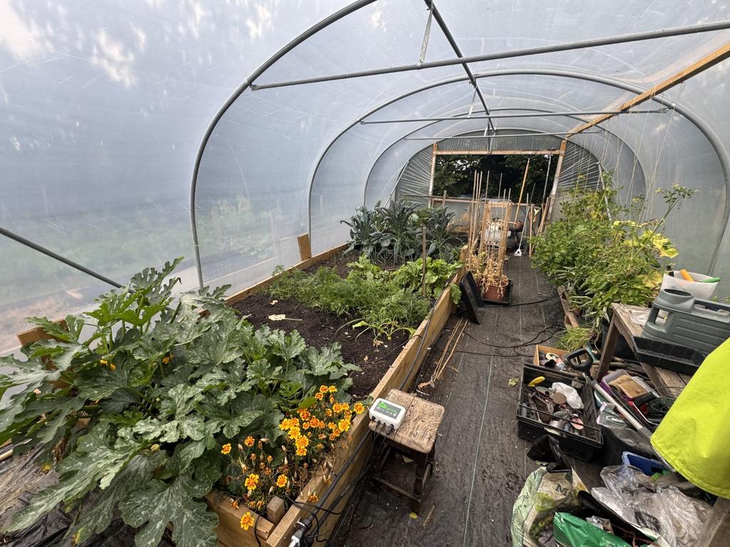 Extended Garden & Polytunnel