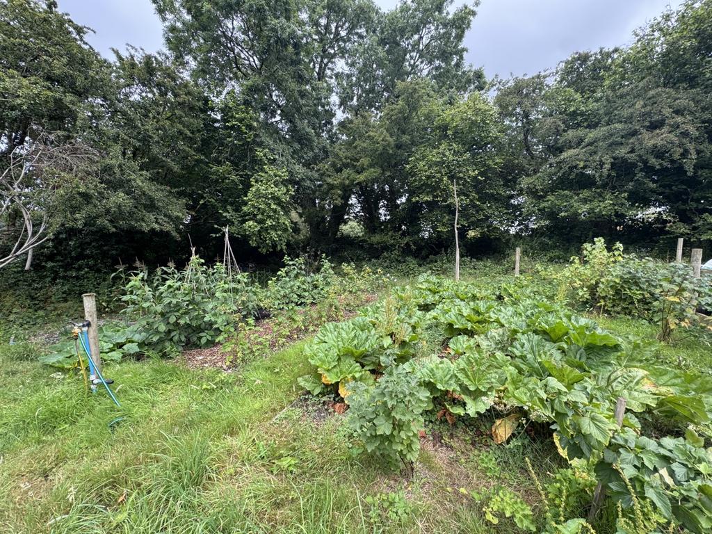 Extended Garden & Polytunnel