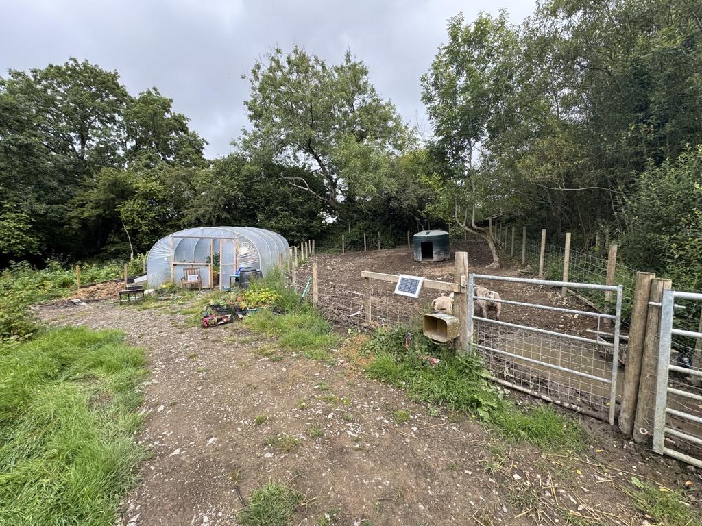 Extended Garden & Polytunnel