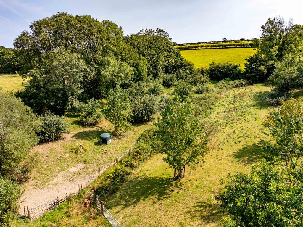 Extended Garden & Polytunnel