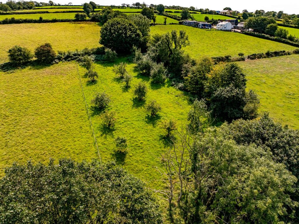 The land