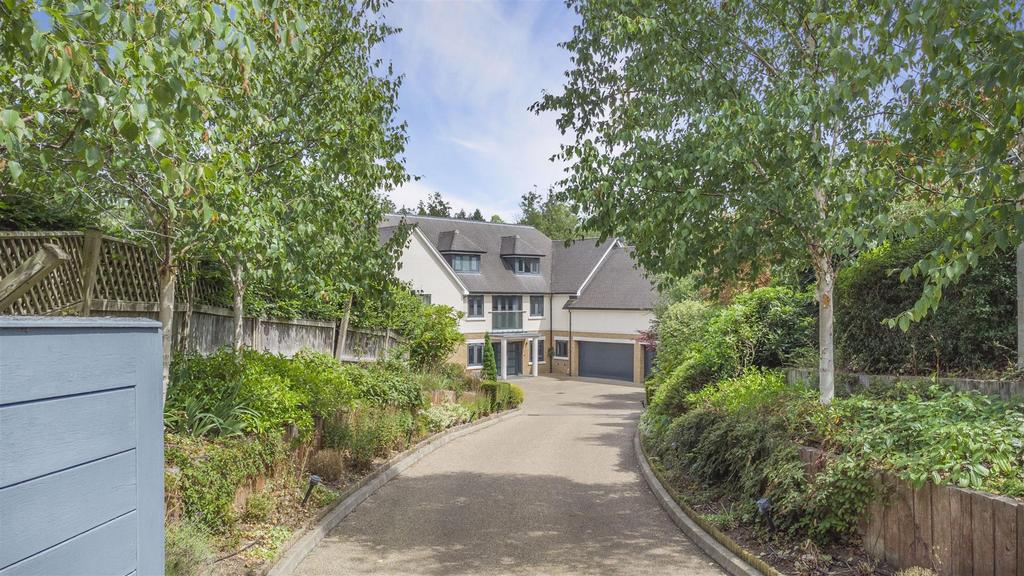 Driveway.jpg