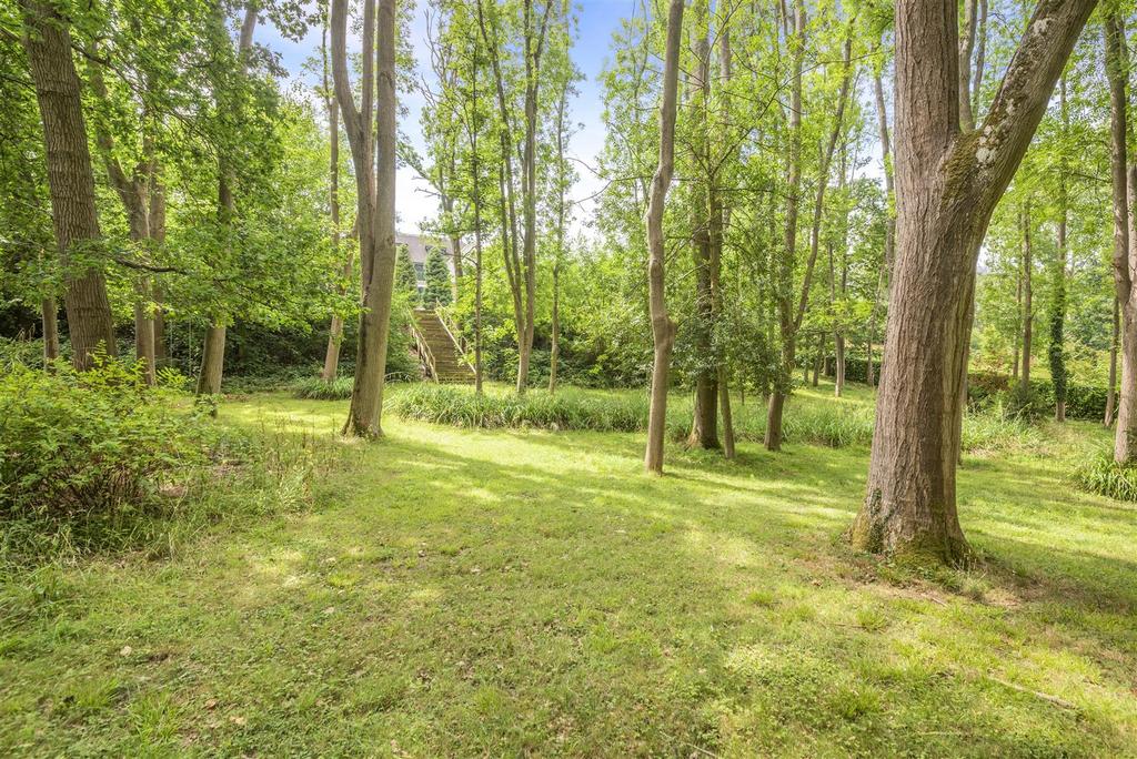 Woodland.jpg