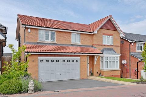 undefined, Rotherham S61