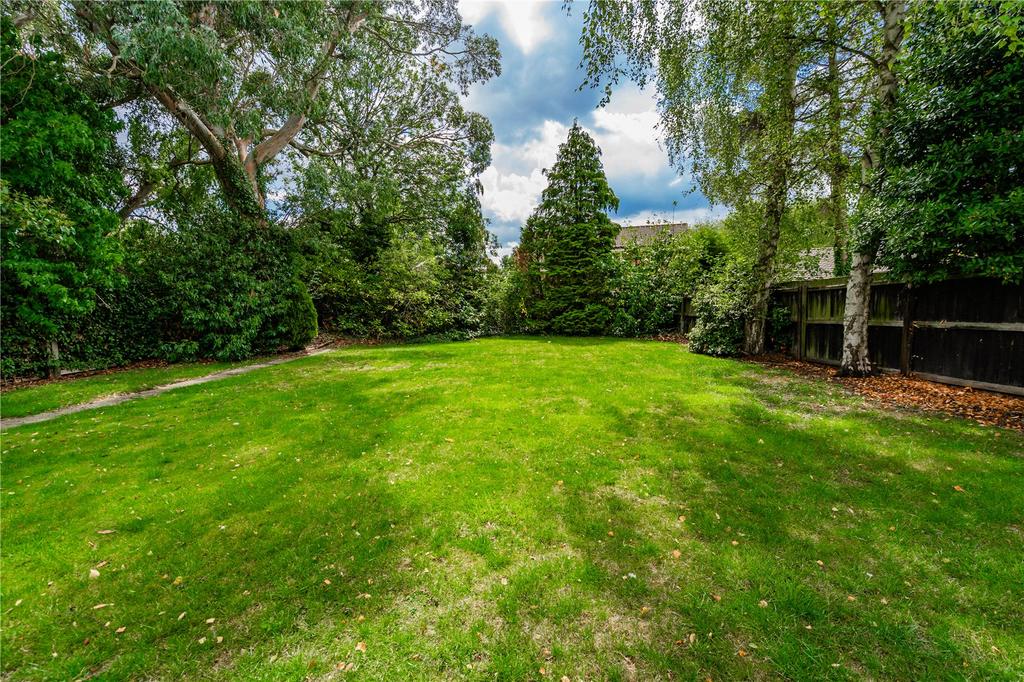 Garden (3)