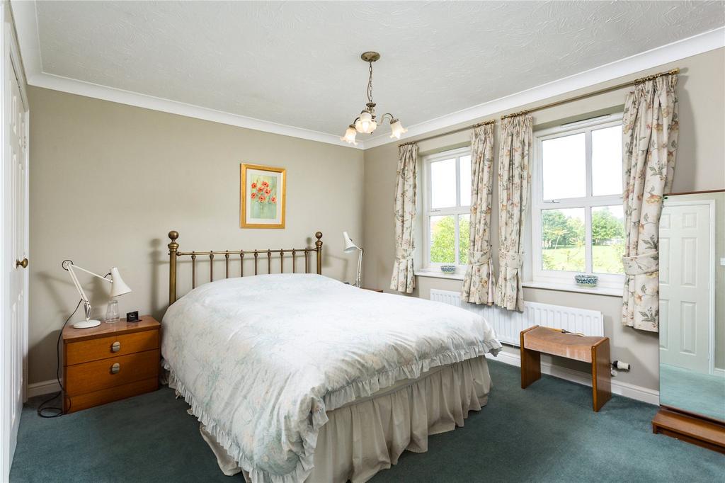 Photos