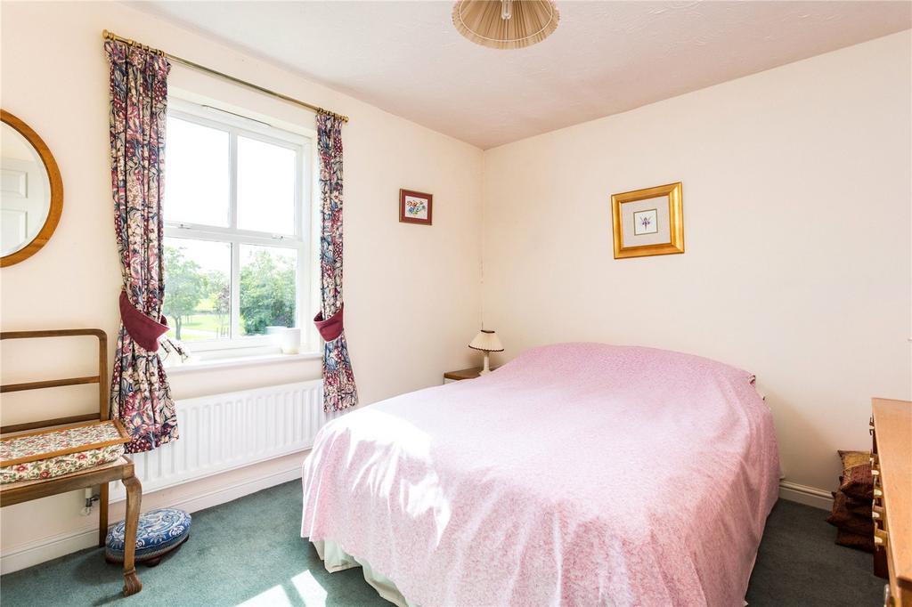 Photos