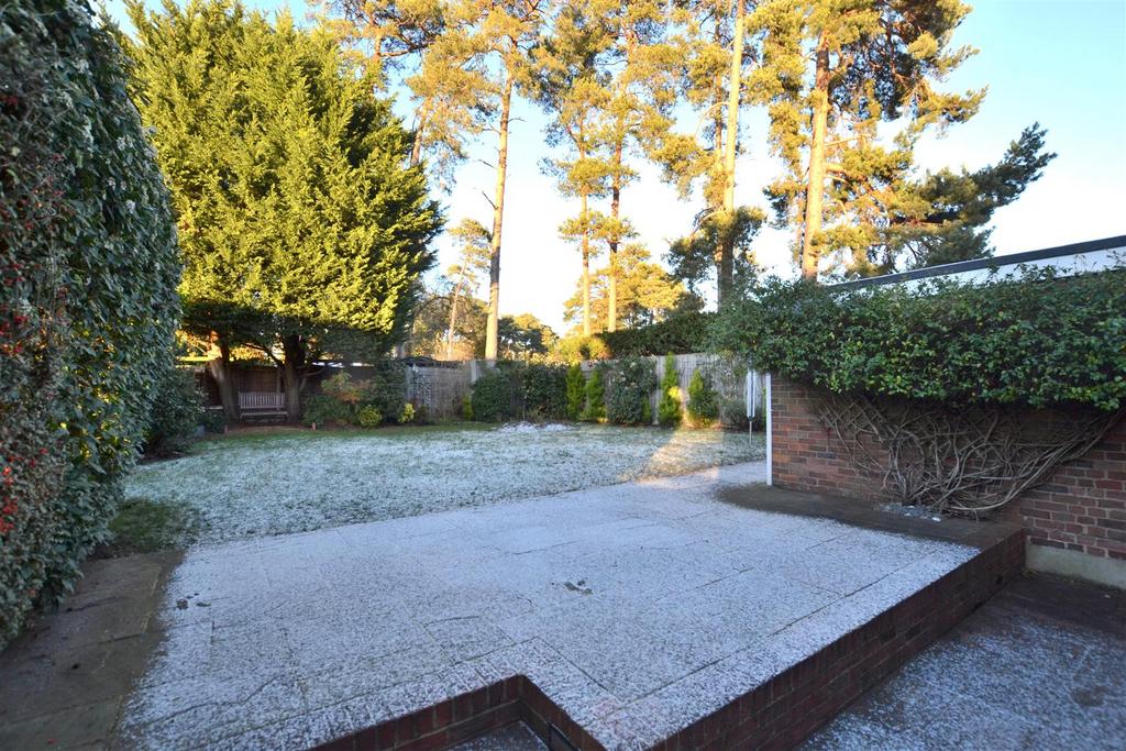 Garden.JPG