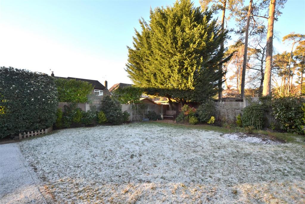 Garden 1.JPG
