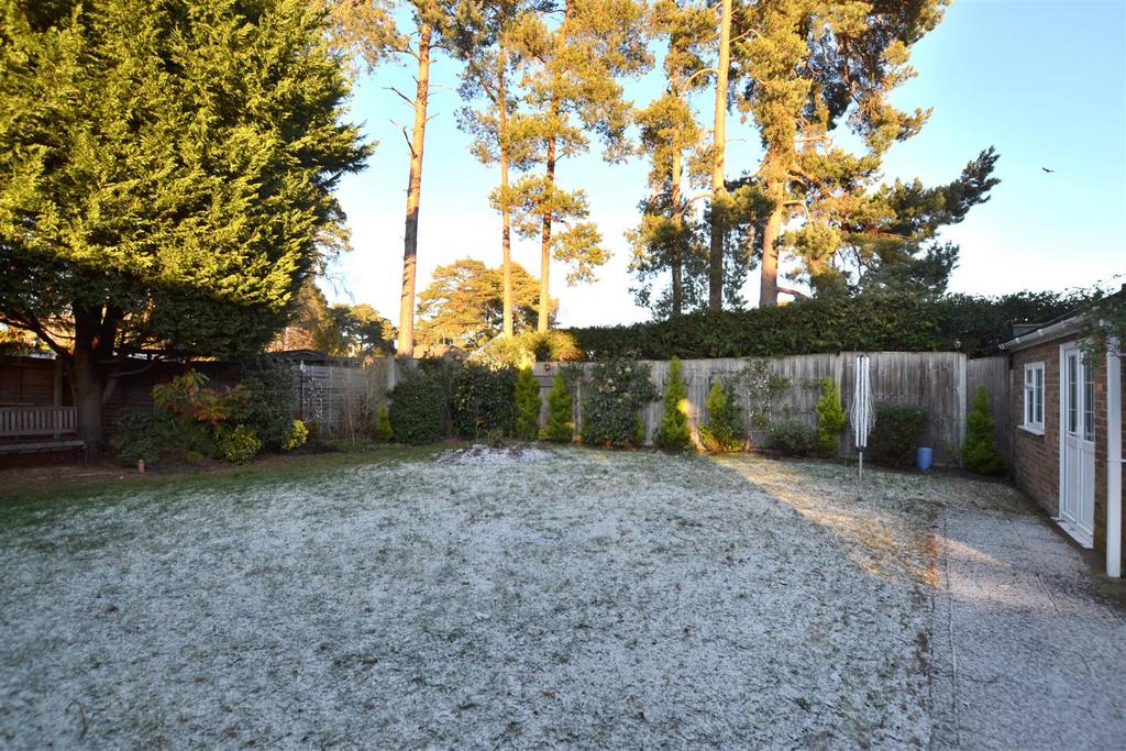 Garden 2.JPG