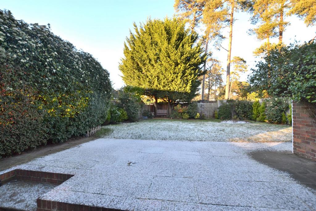 Garden 3.JPG