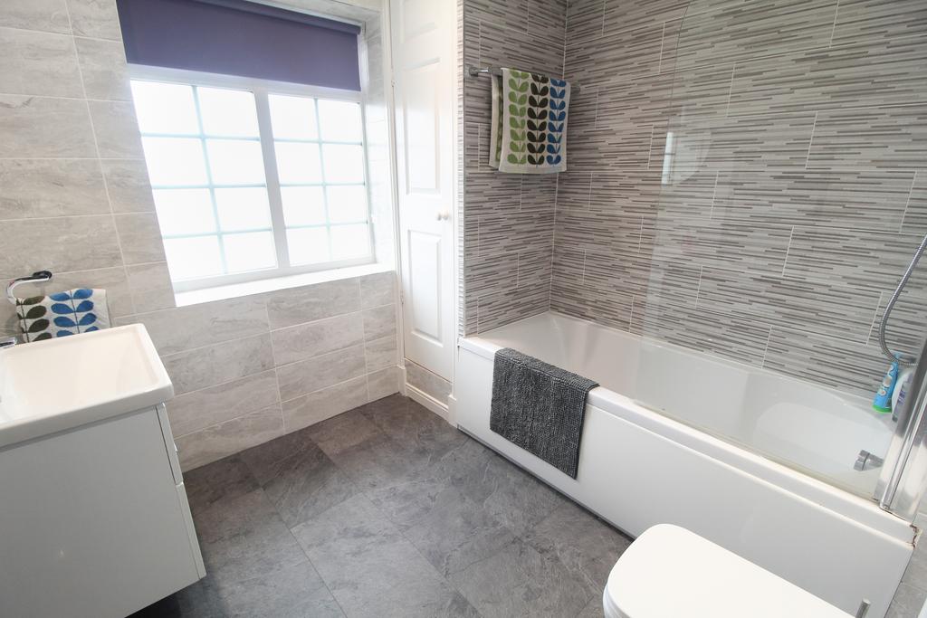 P.jpg