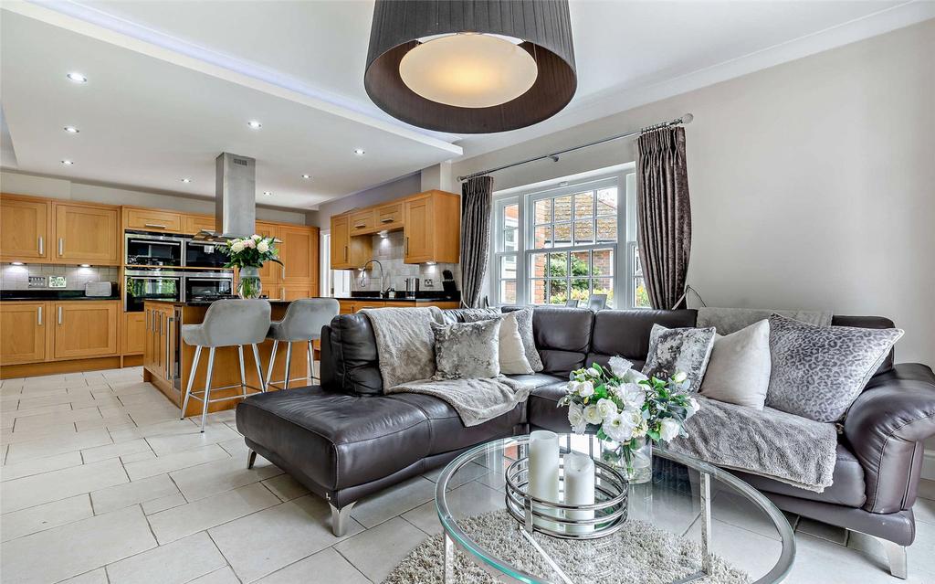Kitchen/Living/Diner
