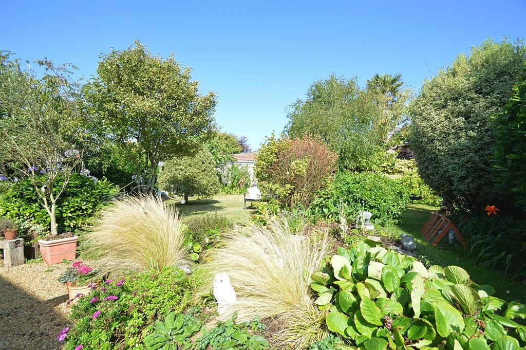 Resized Garden1.jpg