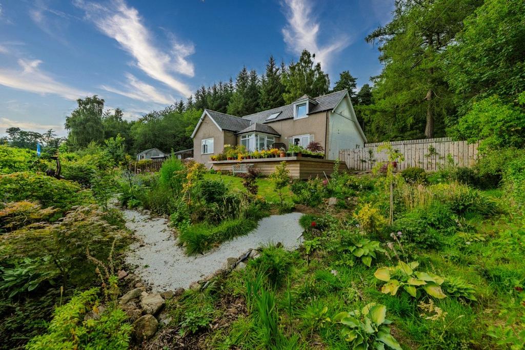 Garden/House View