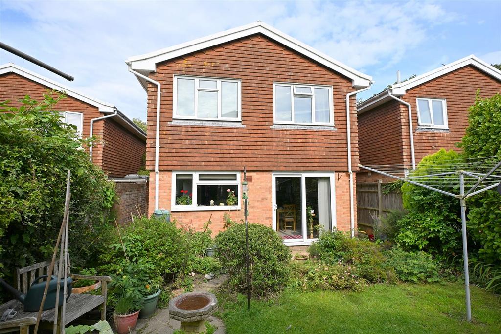Rear Elevation