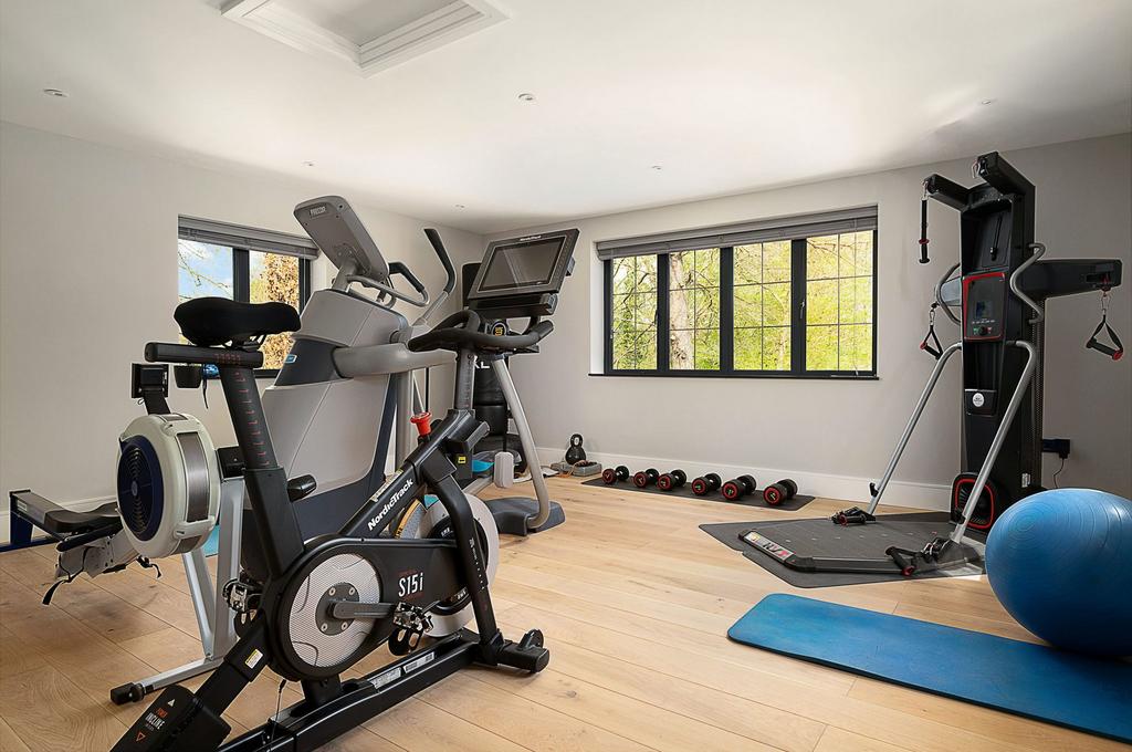 Gym/Bedroom 4