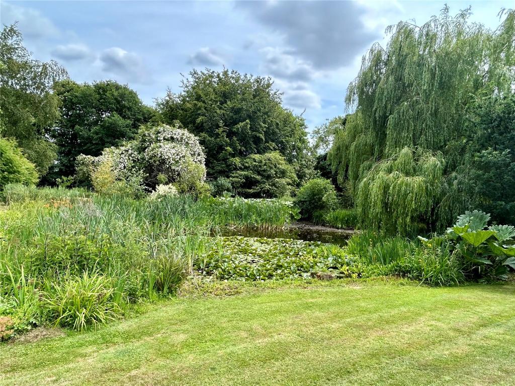 Pond