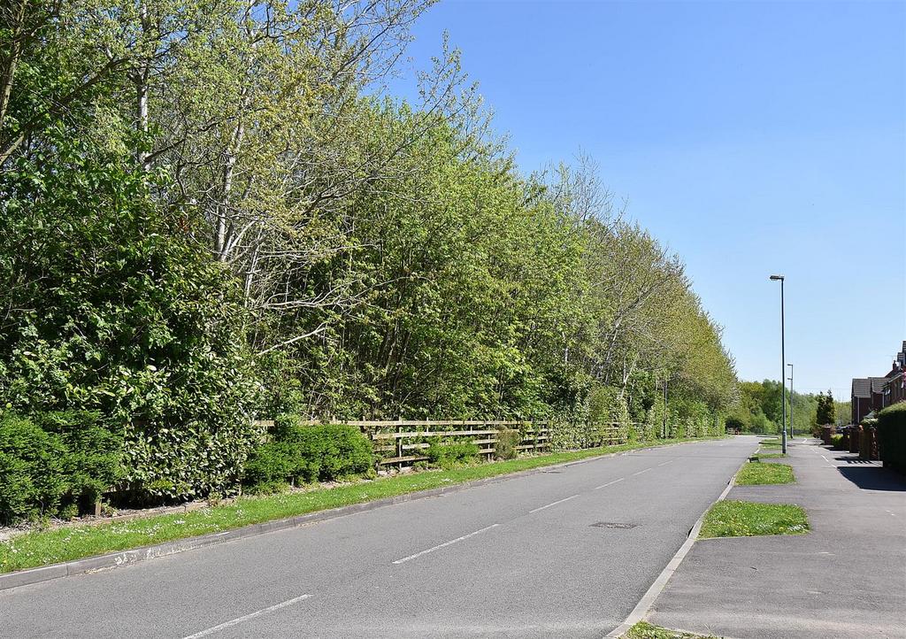 BIRCHENWOOD WAY.jpg