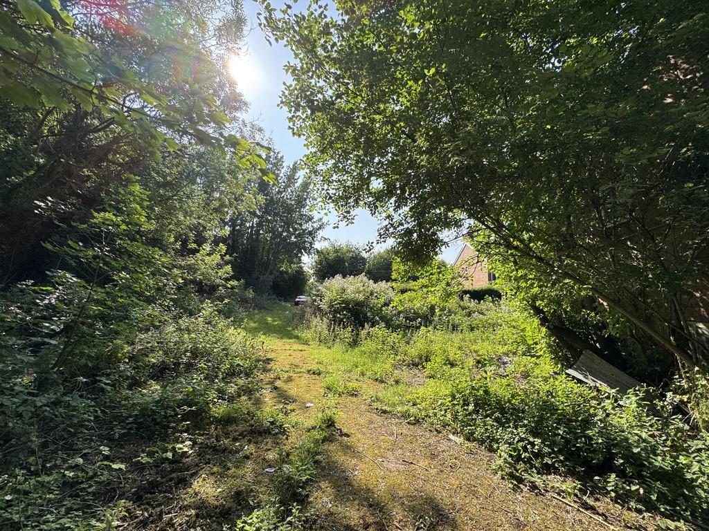 Img 3549