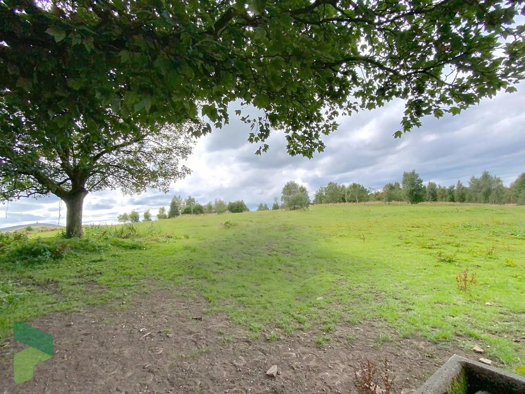 Field
