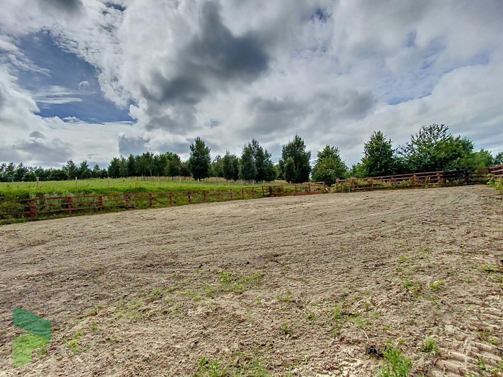 Outdoor Arena