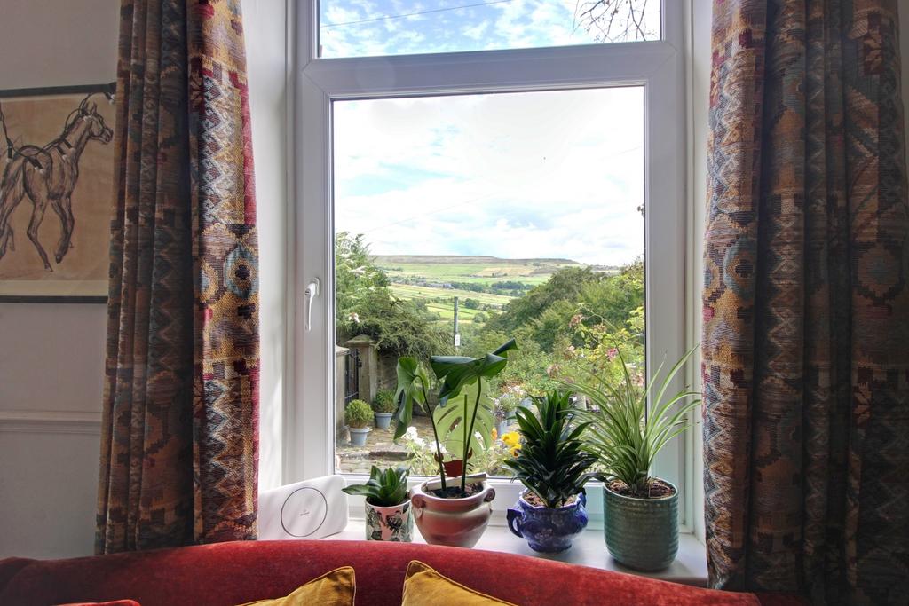 View from Living Room