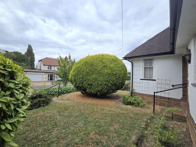Photo 25