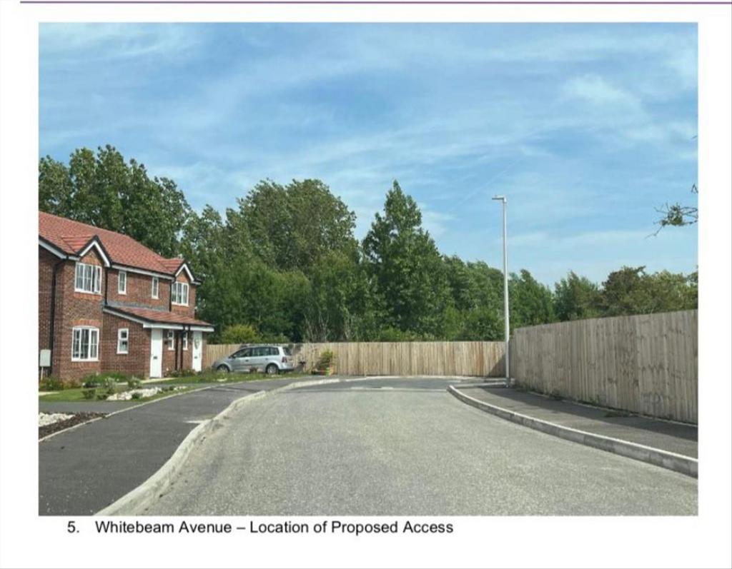 Whitebeam Avenue Pro