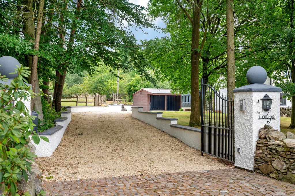 Driveway
