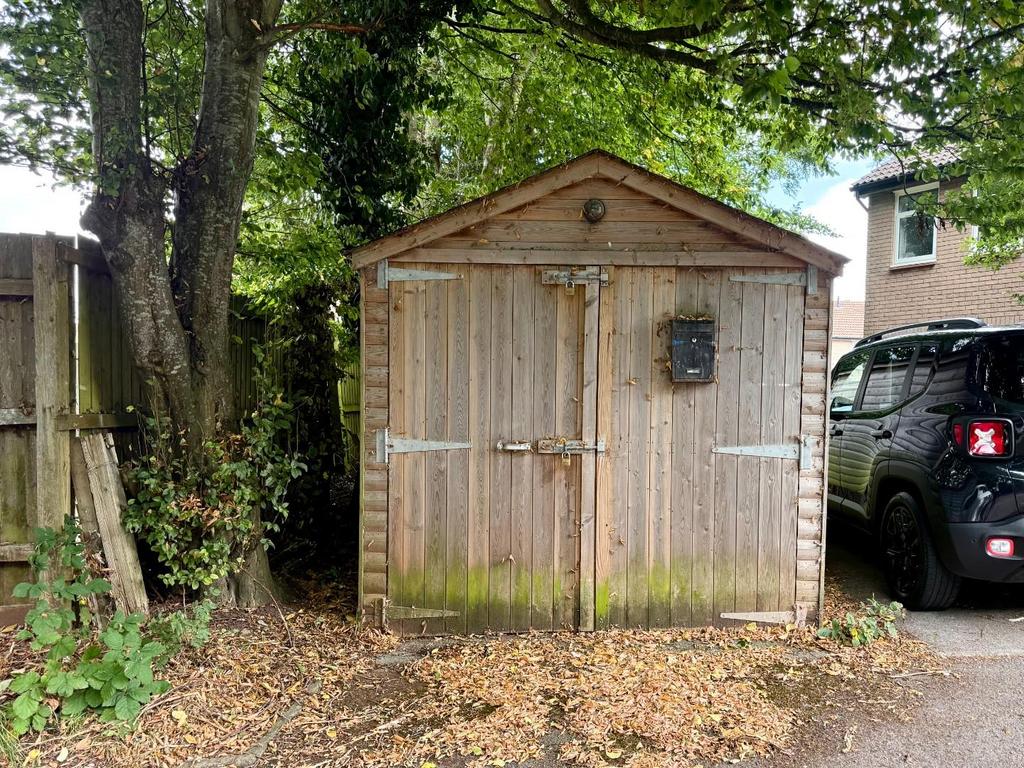 Timber Store