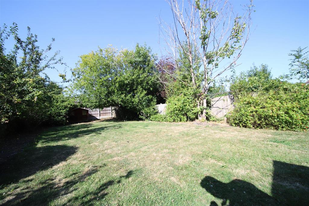 Garden3.jpg